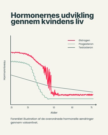 Hormonernes udvikling gennem kvindens liv-1